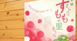 ひよこデザイン　更別村　すももの里まつり