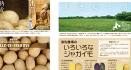 ひよこデザイン　波佐農場　パンフレット
