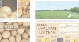 ひよこデザイン　波佐農場　パンフレット