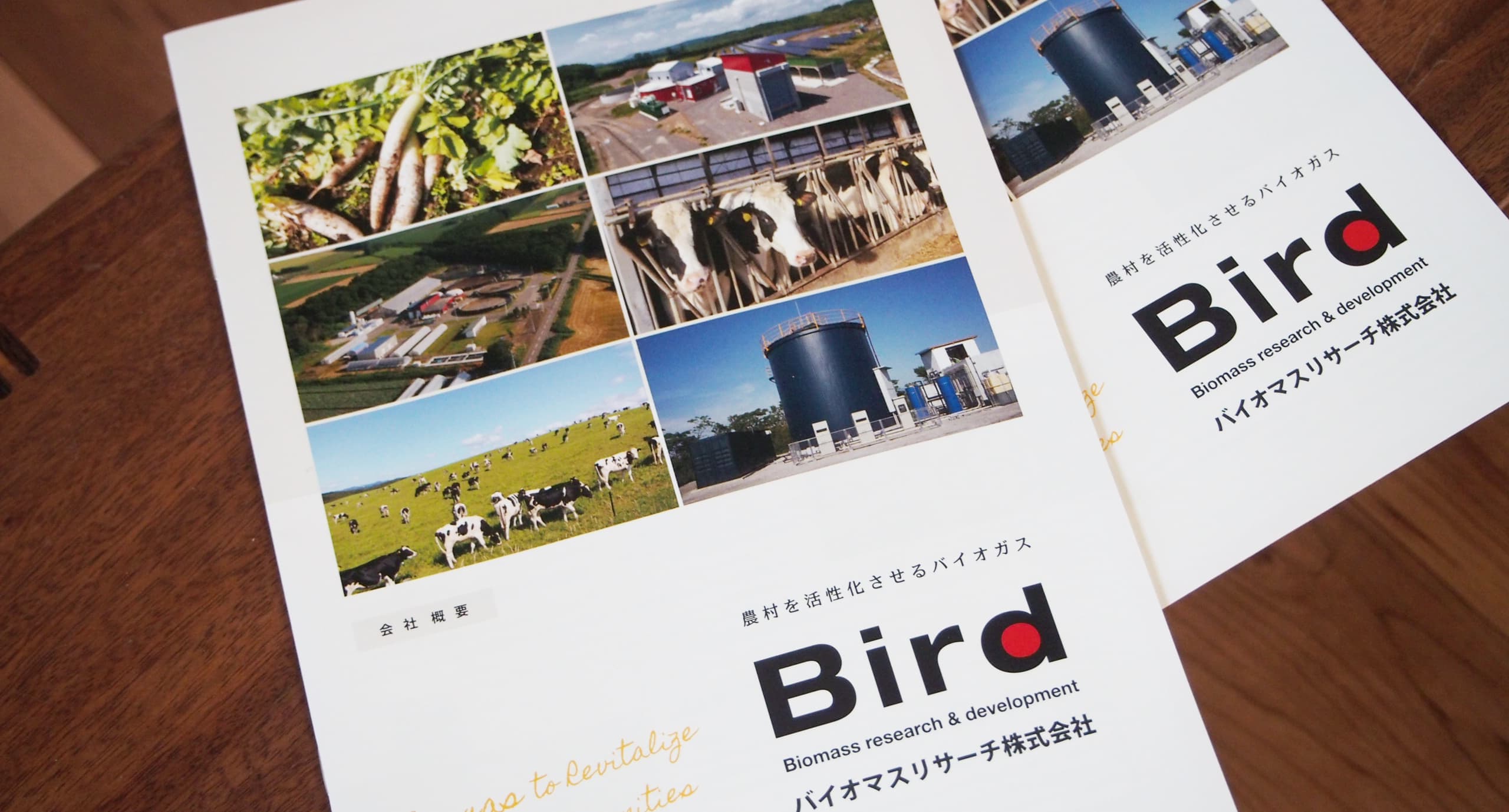 ひよこデザイン　バイオマスリサーチ株式会社　会社案内
